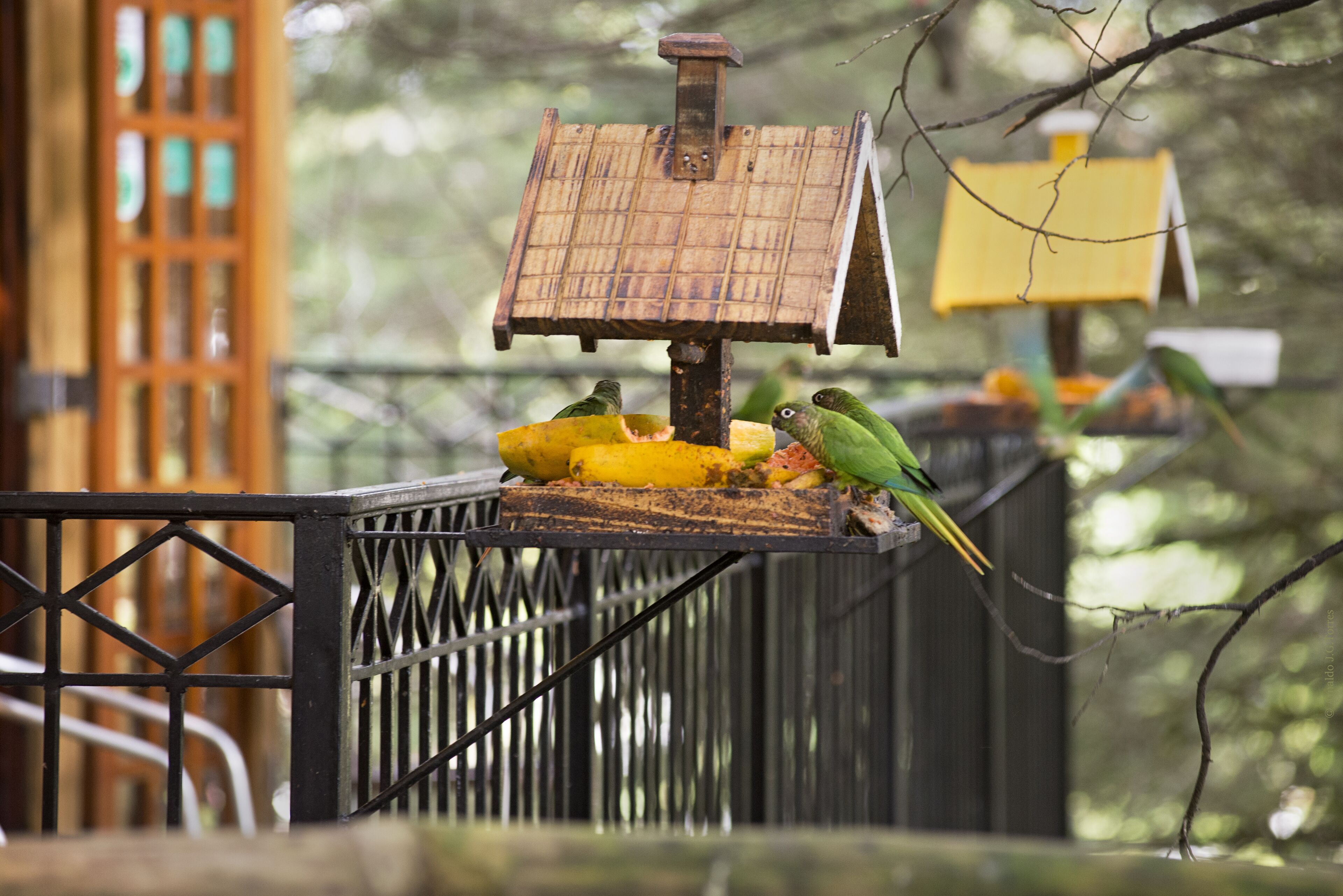 Photo - Pousada La Toscana Campos do Jordão