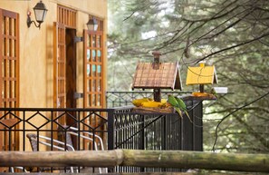 Terrace/patio - Pousada La Toscana (Campos do Jordão)