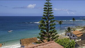 A coastal view with a clear sky, a pine tree, and a beach with buildings in the foreground. - Pousada Ilha da Saudade (Cairu)