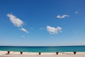 Uma praia com céu claro, mar calmo e plantas em vasos ao longo da costa.