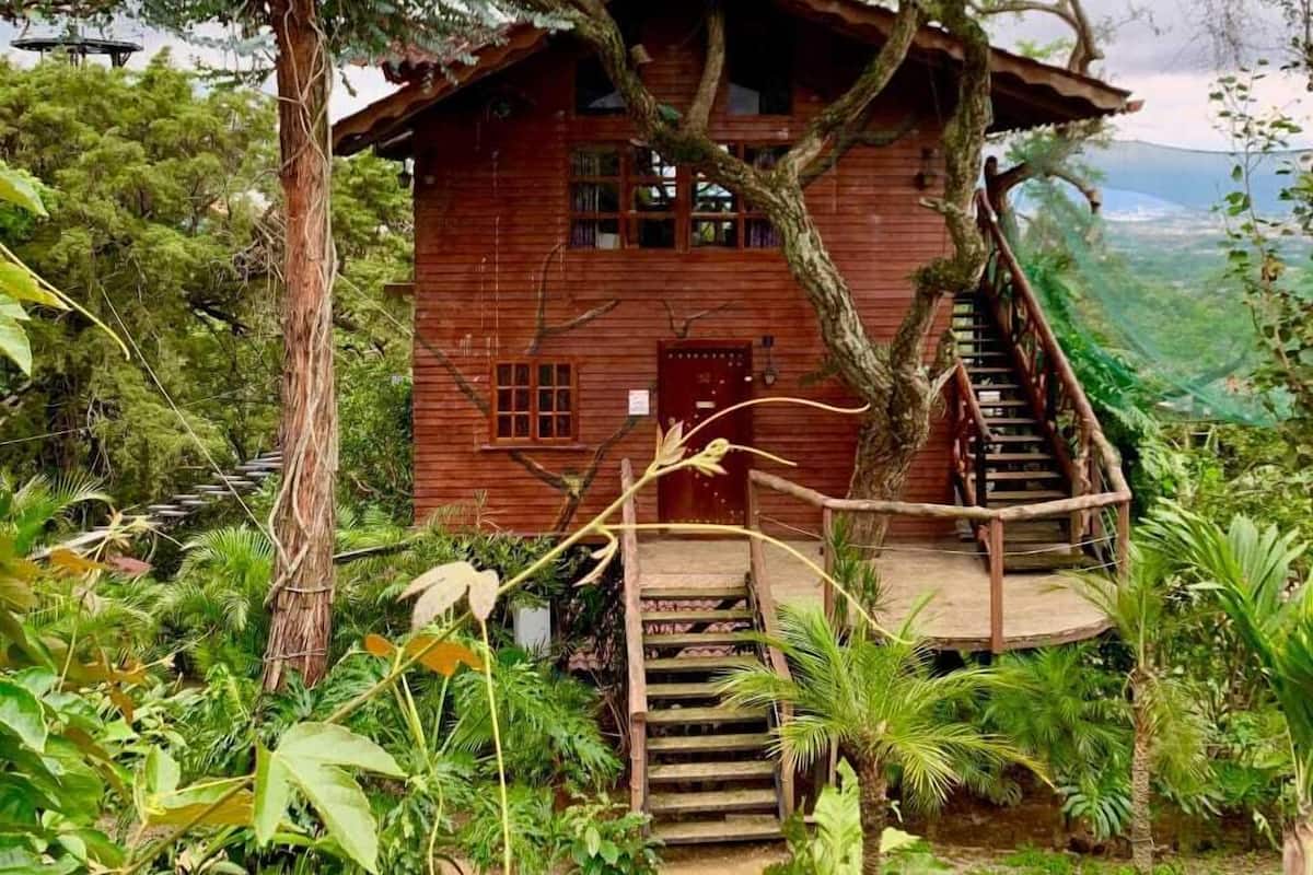 Tree House