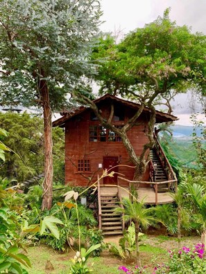 Down duvets, blackout curtains, free WiFi, bed sheets - Hotel Monte Campana Heredia (Jesús)