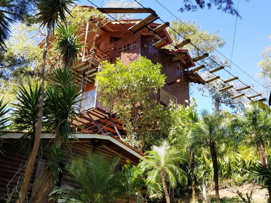 A rustic wooden house surrounded by lush tropical vegetation.