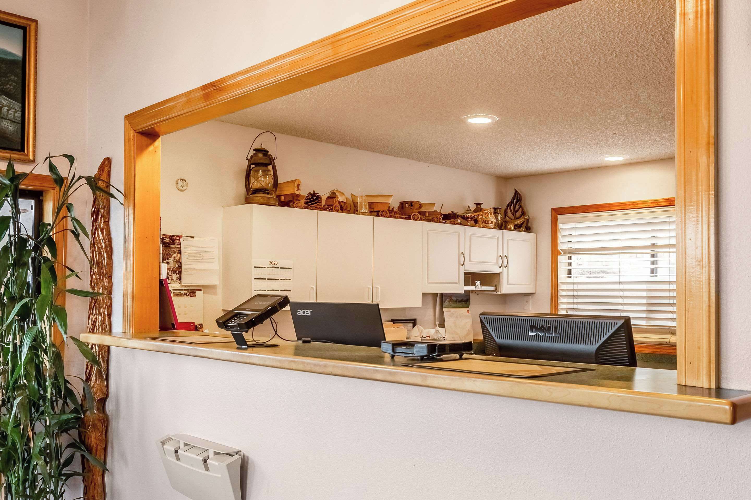 A reception desk with a laptop, phone, and a small plant.