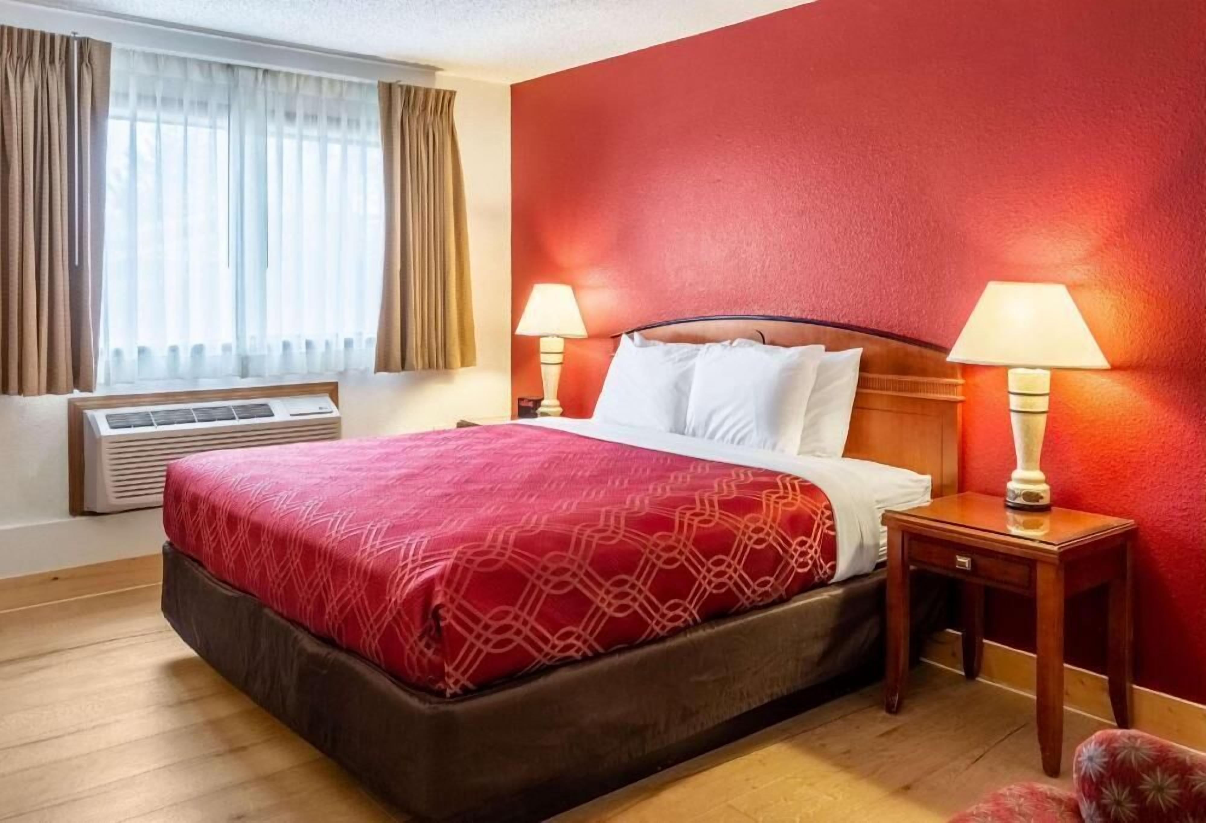 Hypo-allergenic bedding, desk, laptop workspace, blackout curtains