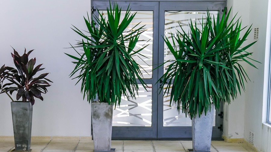 Amérian Villa Maria