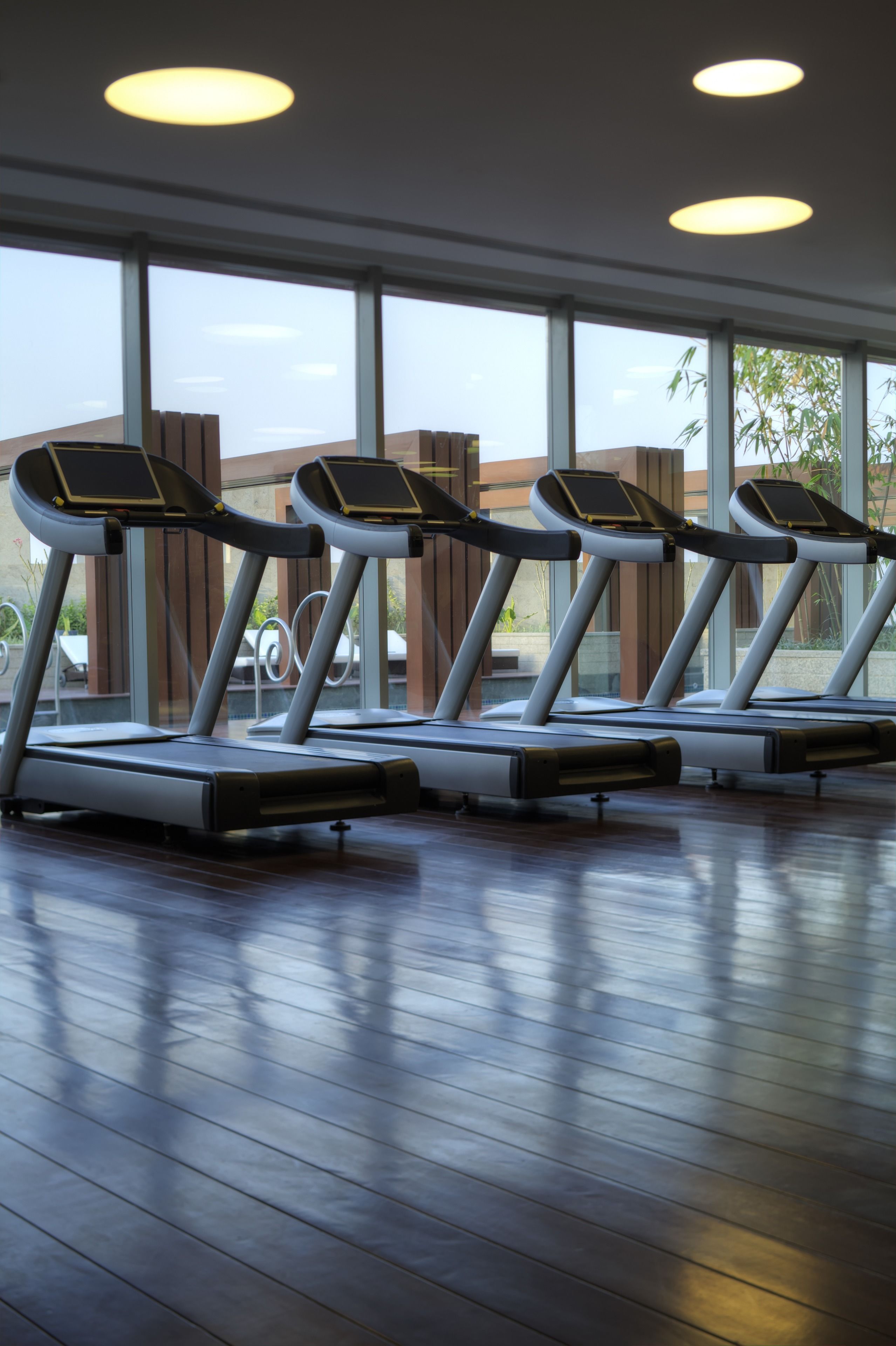 Gimnasium