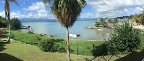 Vista costera con cielo despejado, palmeras y barcos en el agua.