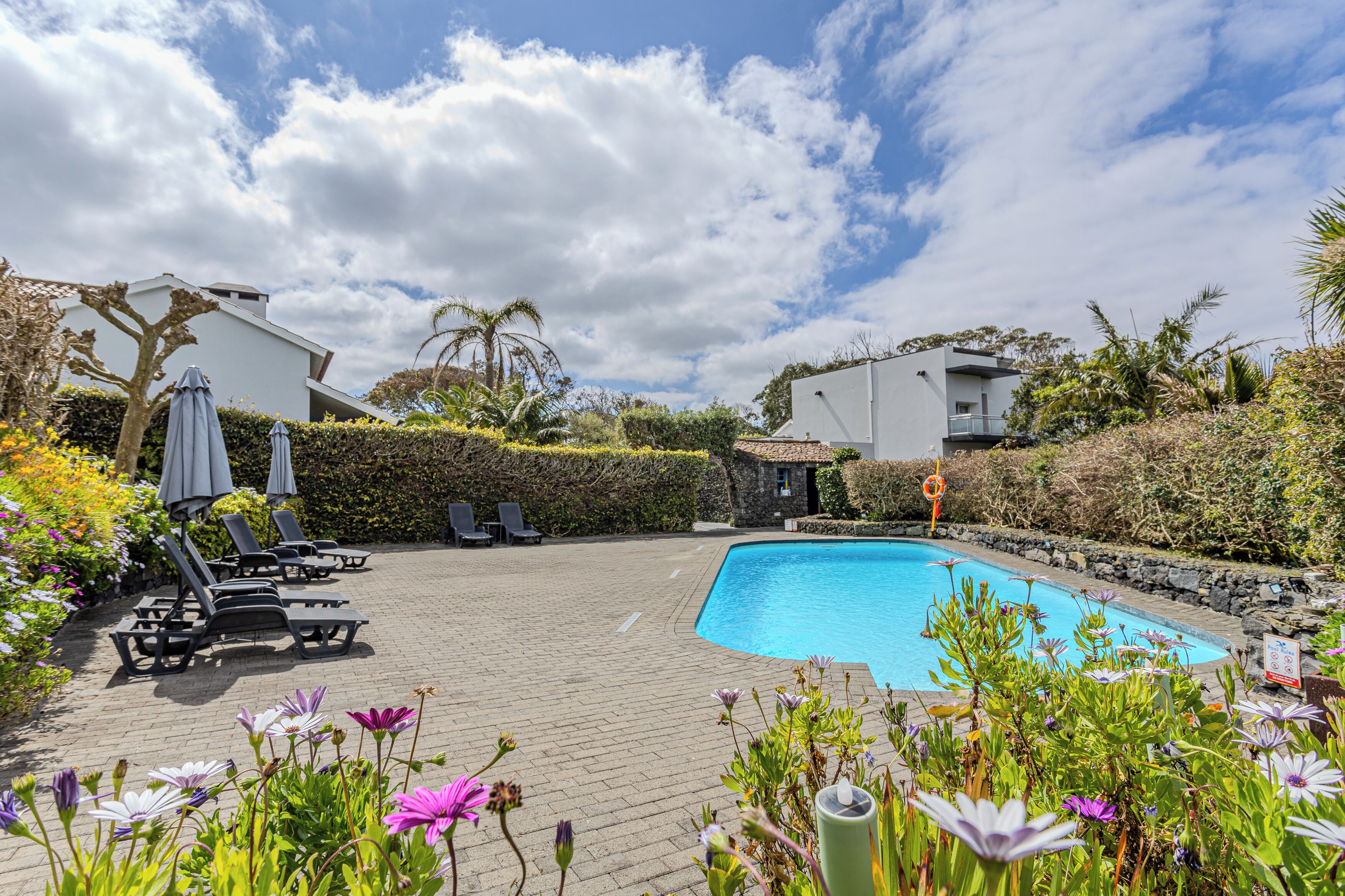 Outdoor pool, pool umbrellas, sun loungers