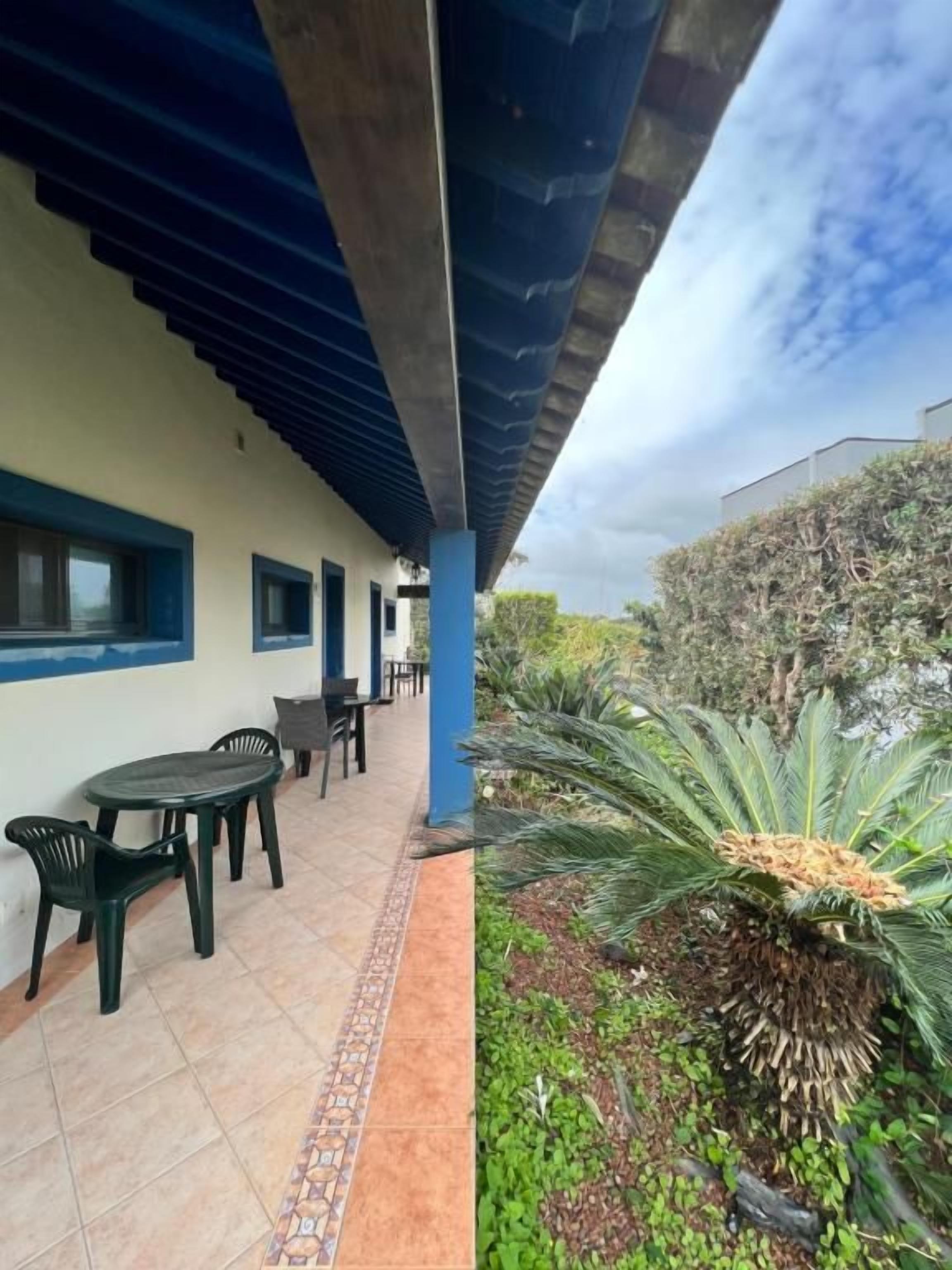 An outdoor patio area with a covered seating area, a palm tree, and a building with blue trim.