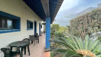 An outdoor patio area with a covered seating area, a palm tree, and a building with blue trim.