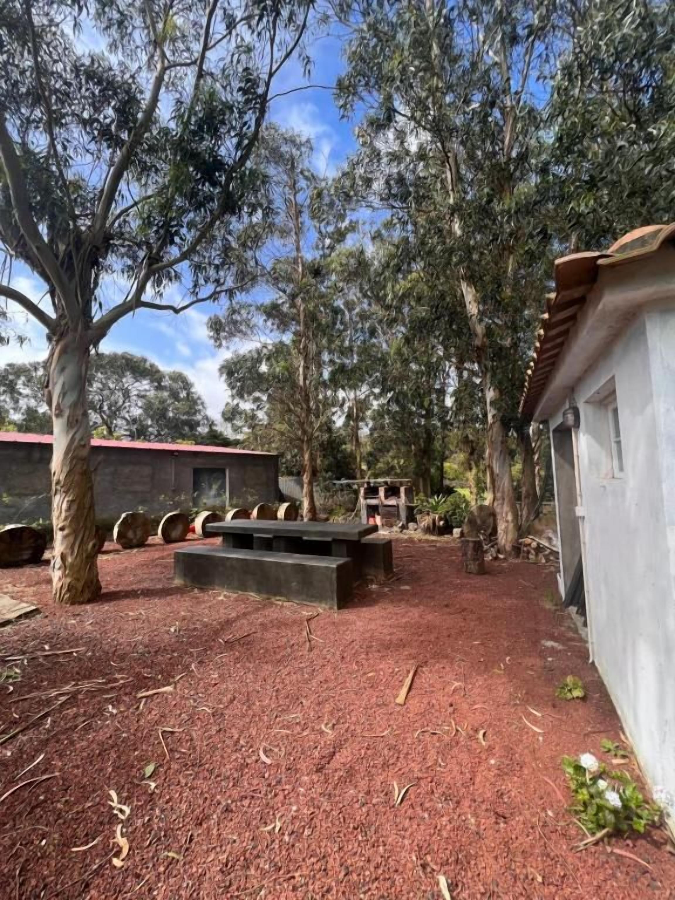 Un espacio al aire libre con un sendero empedrado, un banco de asiento y un edificio con techo rojo.