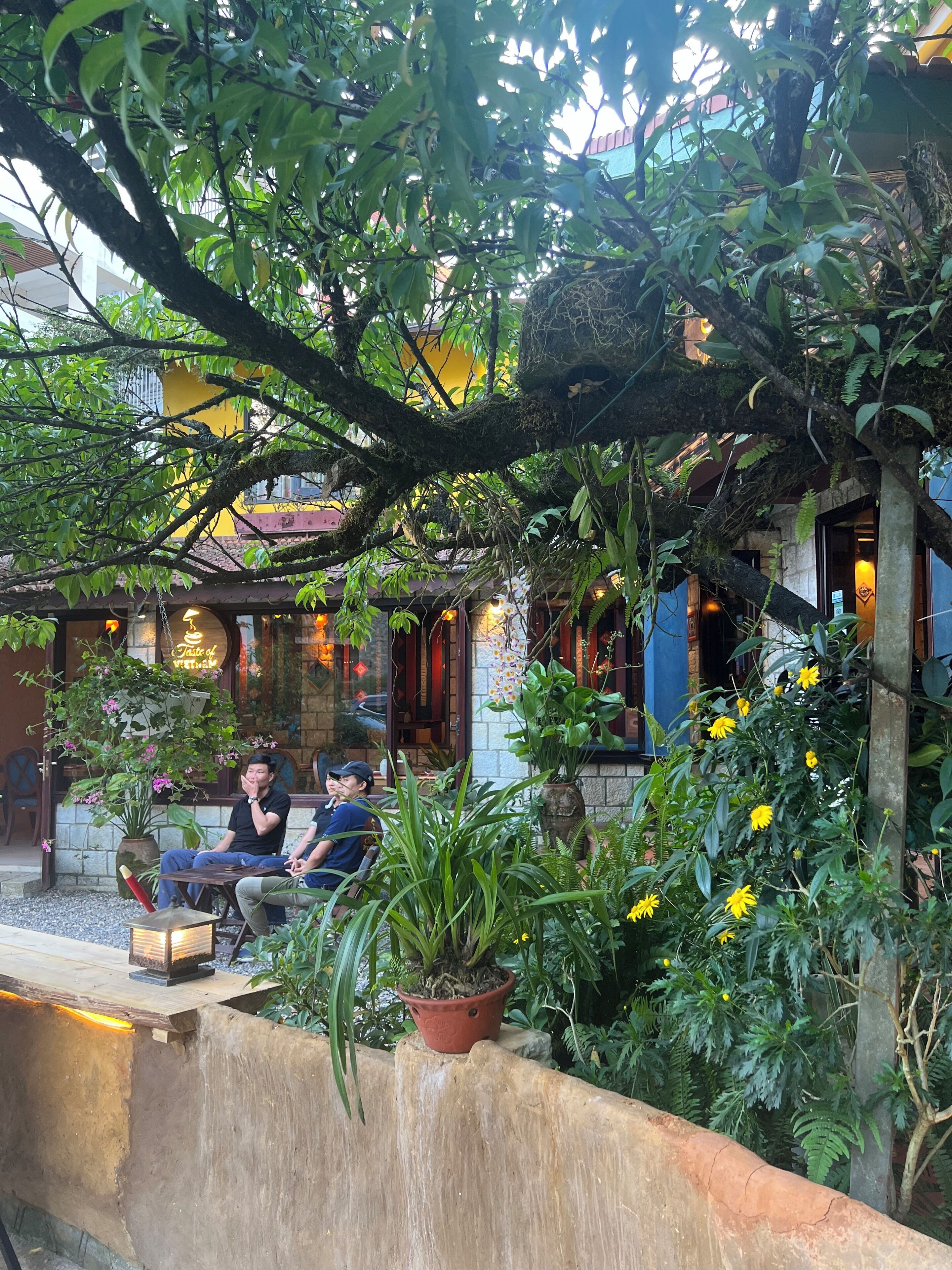 breakfast, lunch and dinner served