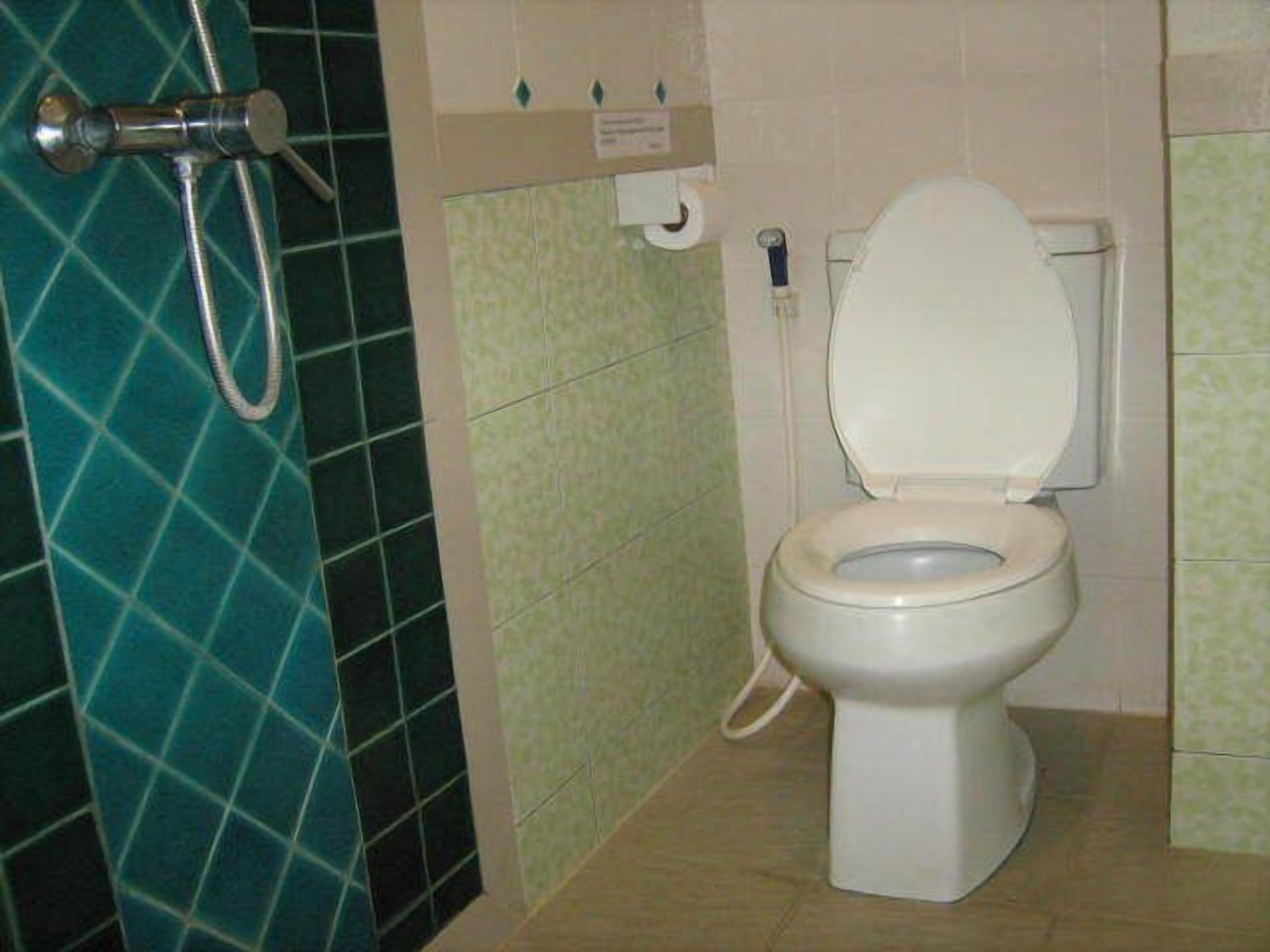 A bathroom with a toilet, a shower, and a toilet paper holder.