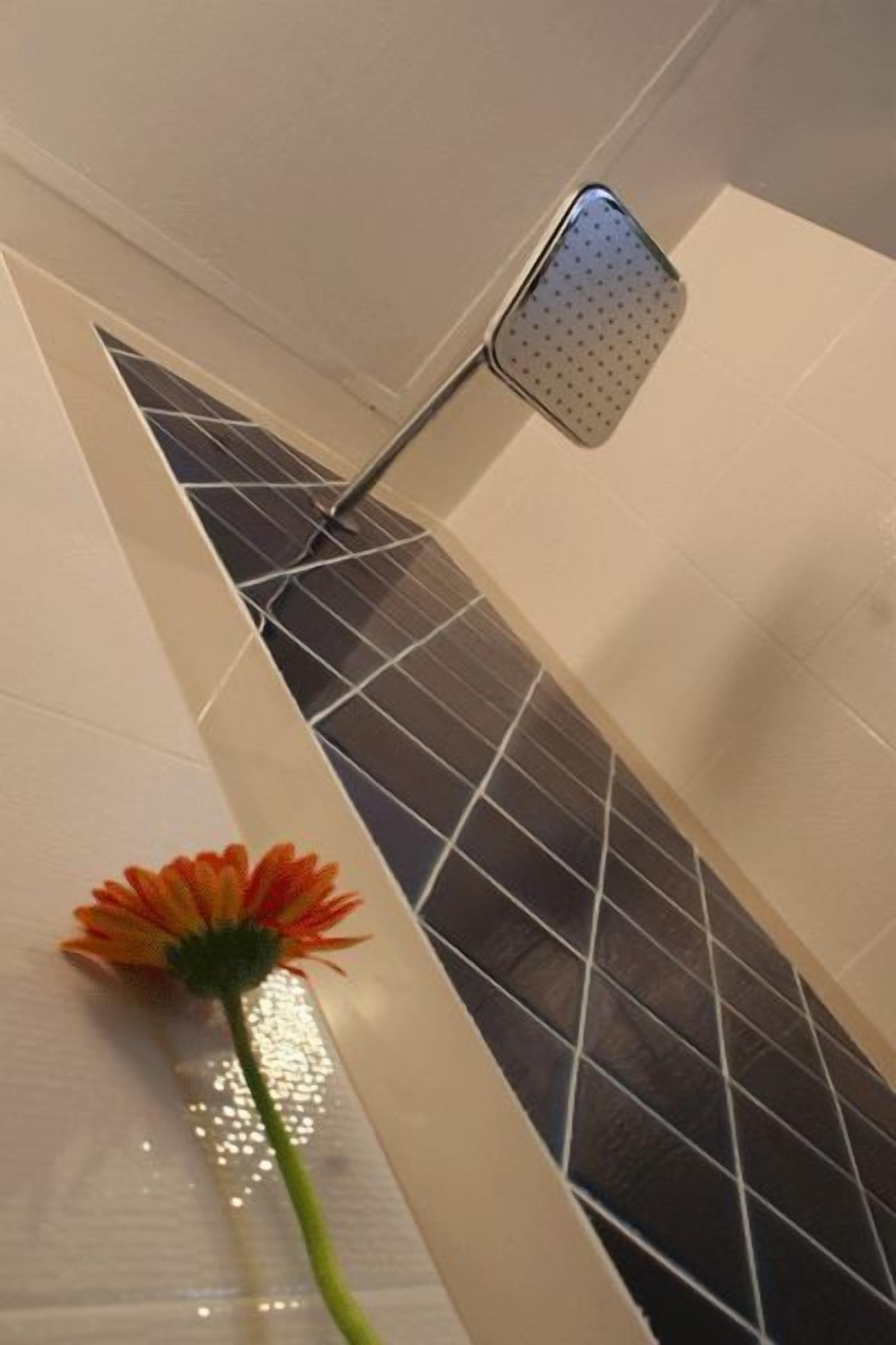 deluxe room | bathroom shower