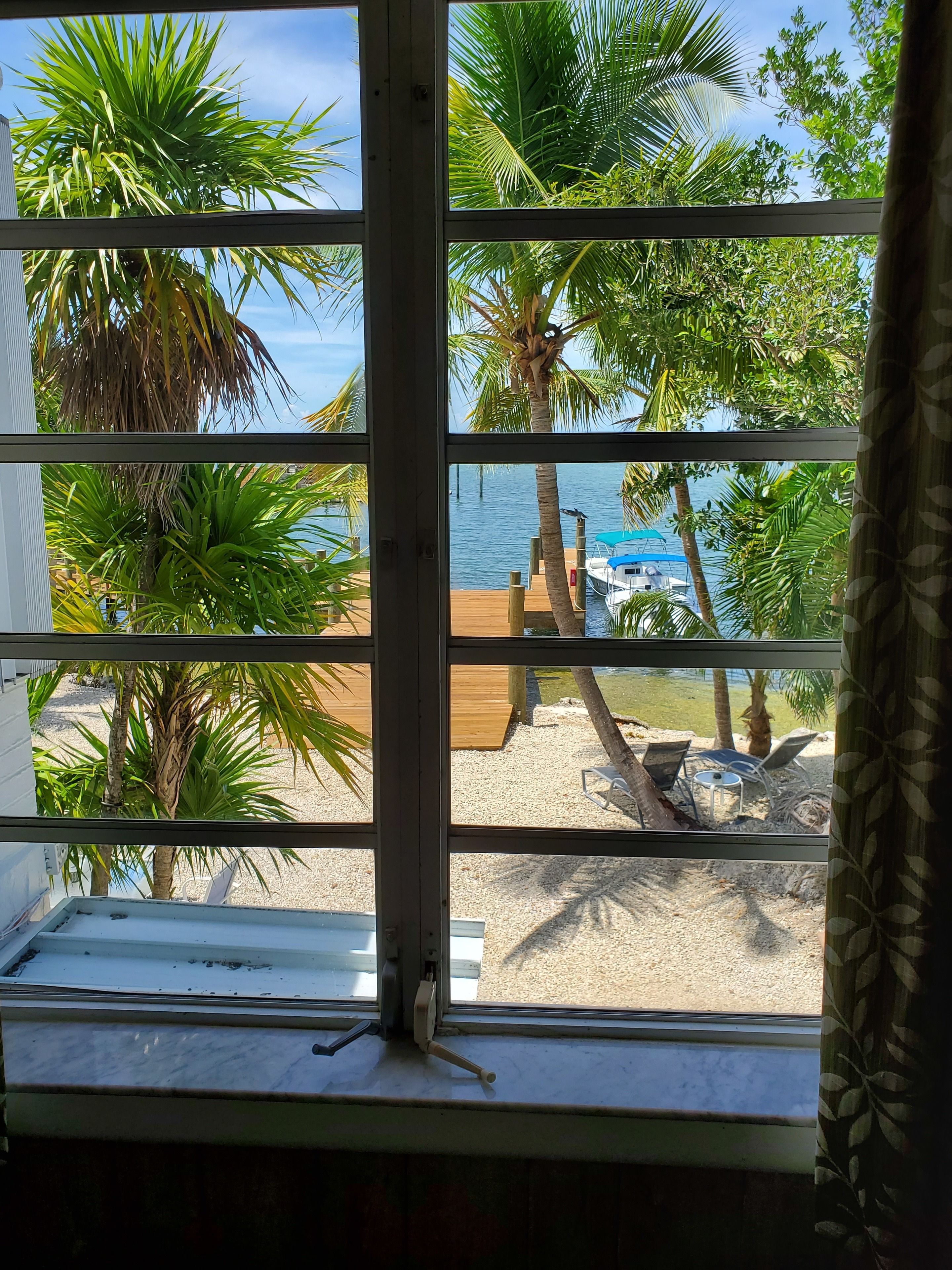 room | view from room