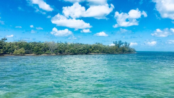A coastal landscape with clear turquoise waters and a dense tree line under a bright blue sky with scattered clouds. - Captain Pips Marina & Hideaway (Marathon)