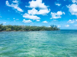 Pemandangan dari hartanah