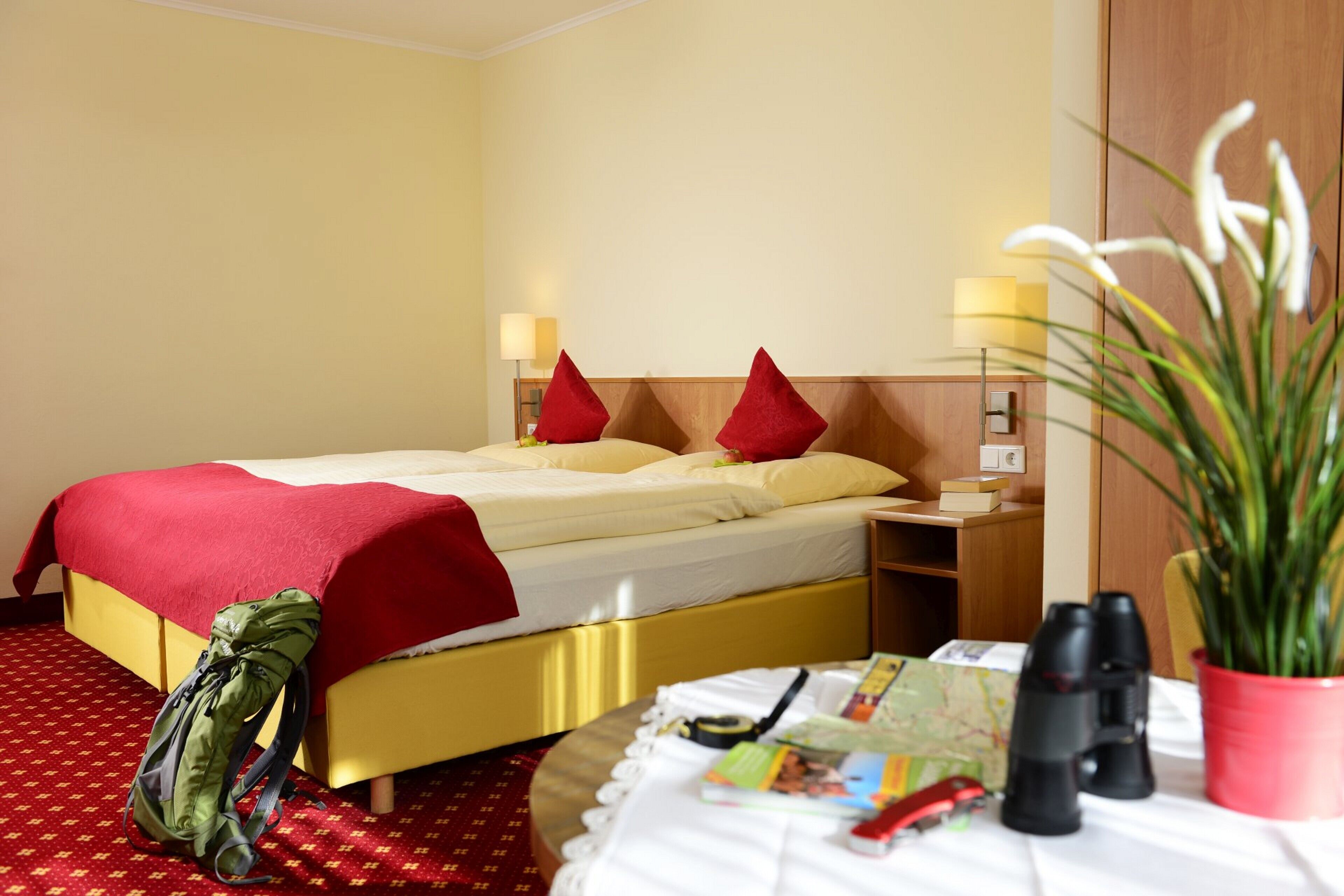 Une chambre d’hôtel avec un lit, une table de chevet avec des lampes, une petite table avec des livres et des jumelles, et une plante en pot.