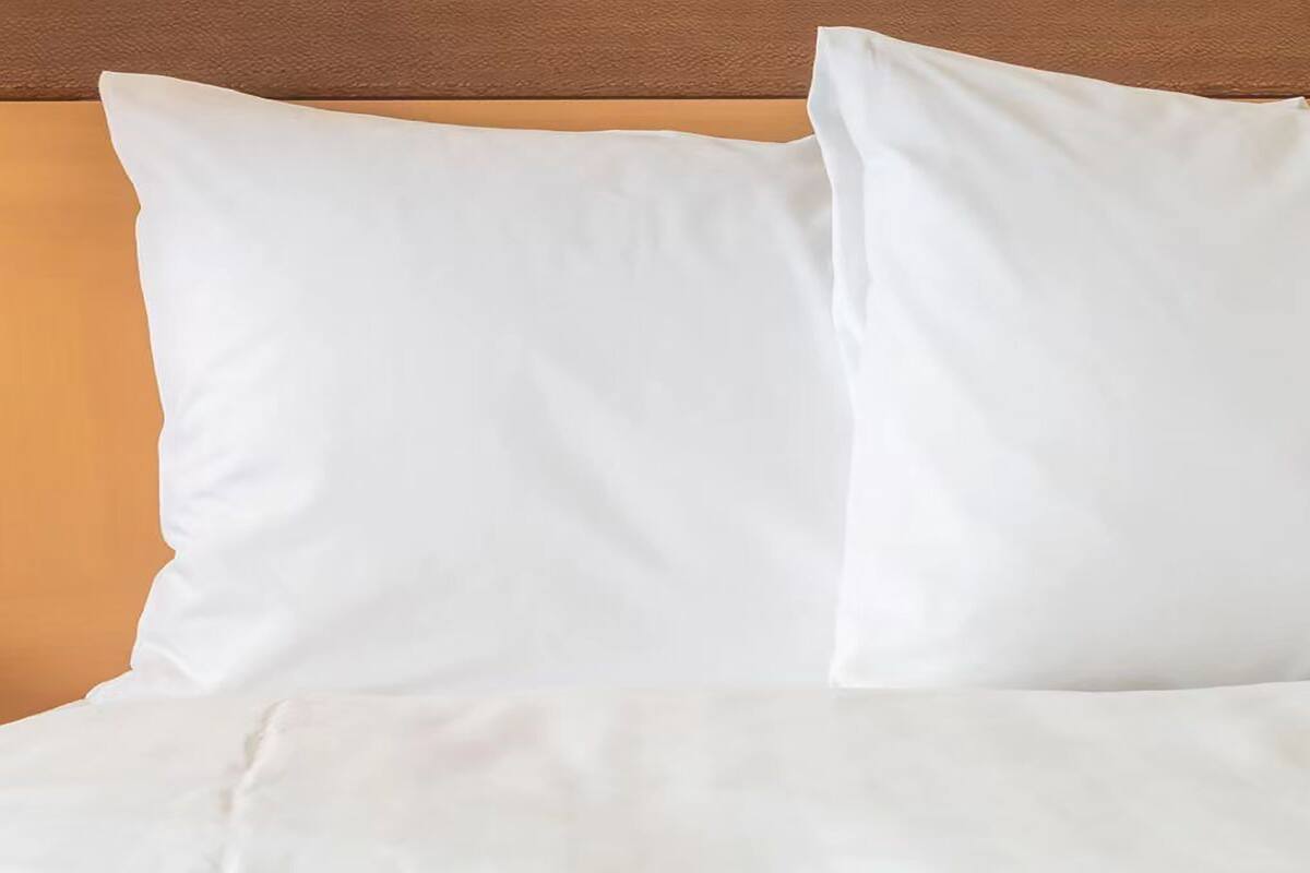 Standard Room | In-room safe, desk, iron/ironing board, cribs (free)