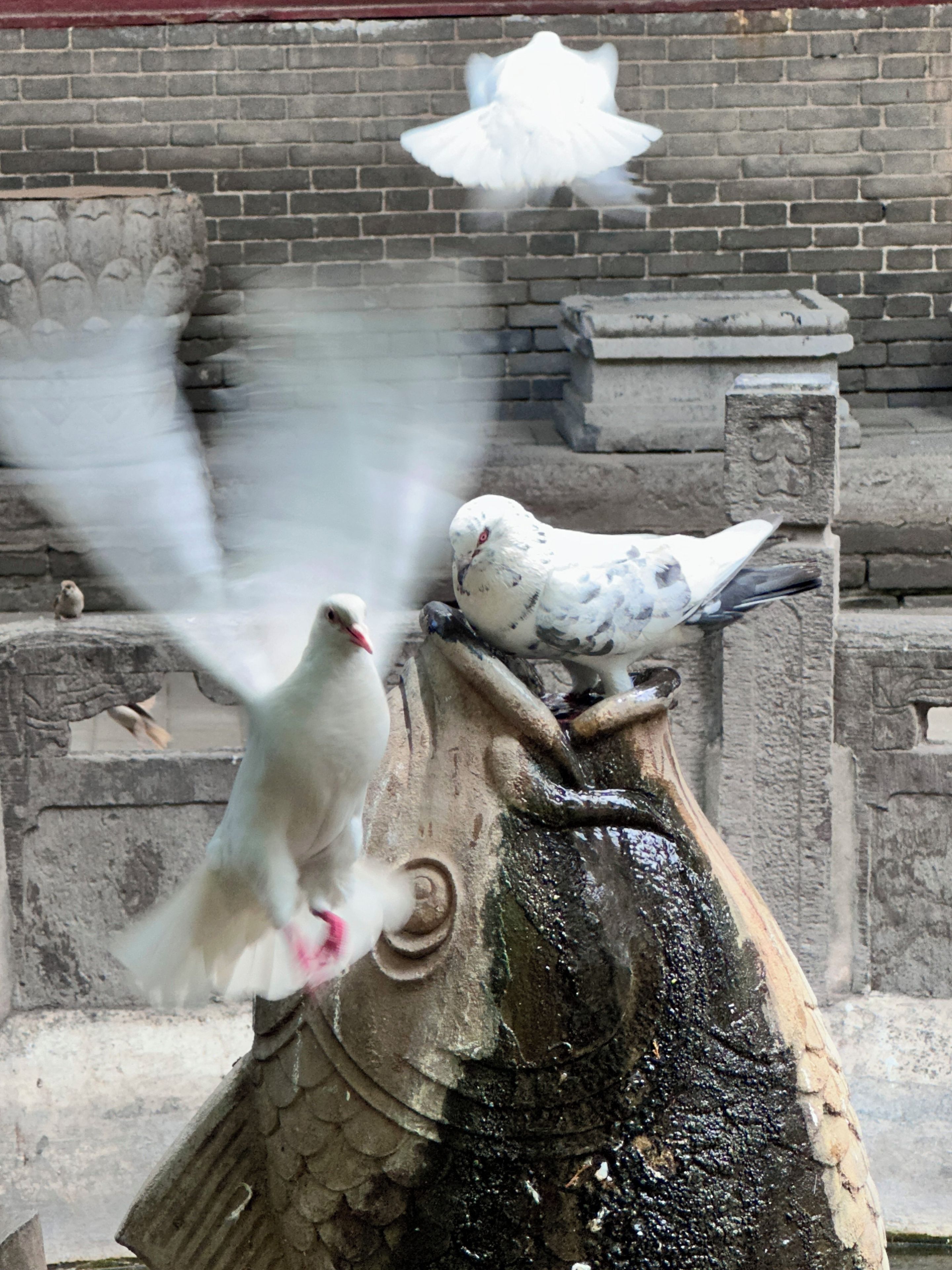兴趣点