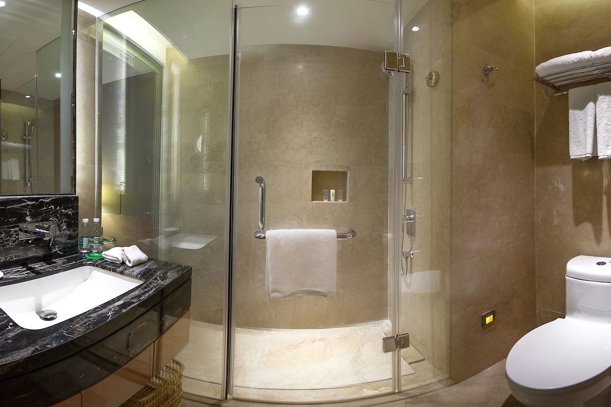 20 室のベッドルーム、高級寝具、羽毛の掛け布団、ミニバーのアイテム (無料)