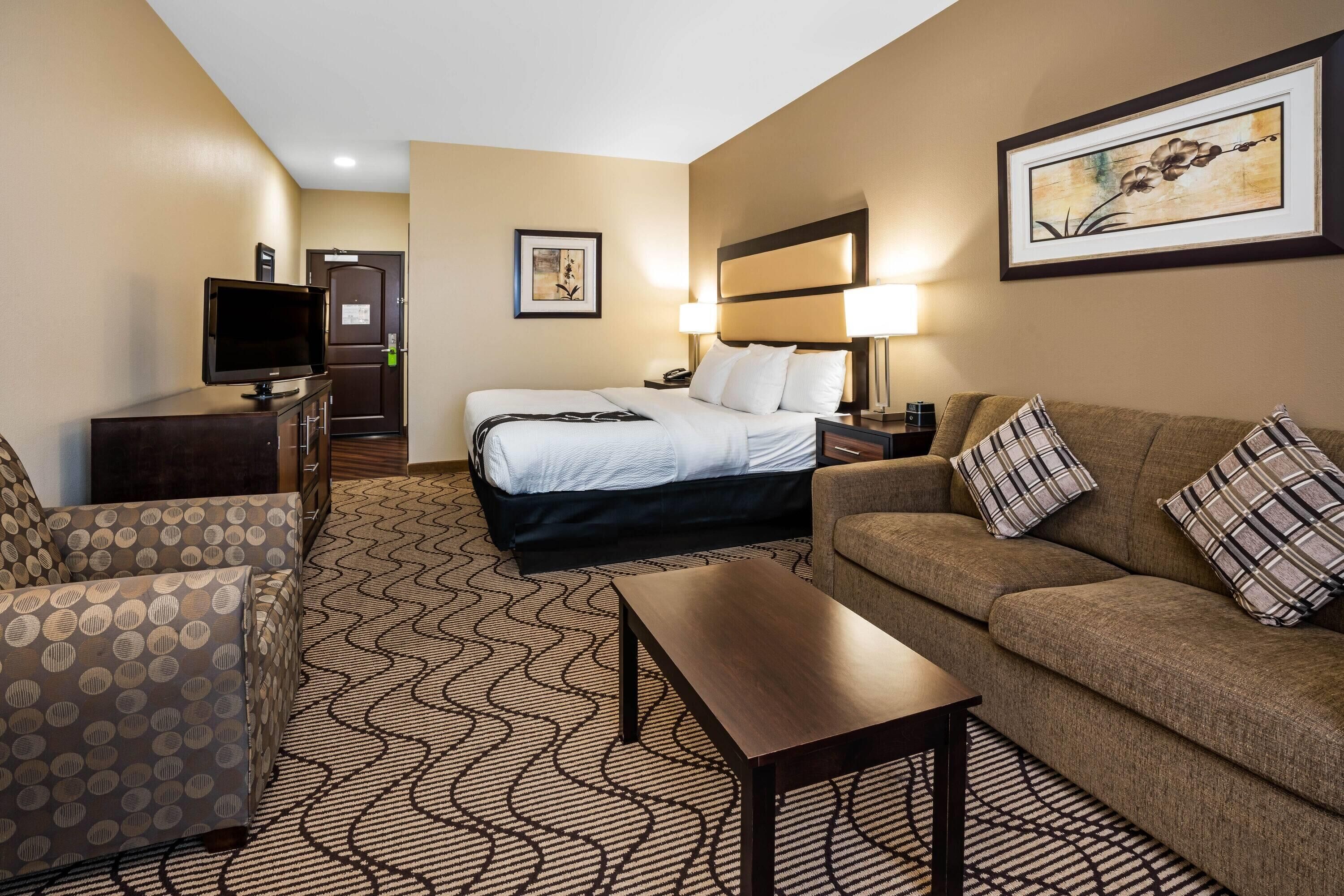 Una habitación de hotel con cama, sofá, televisión, escritorio y alfombra estampada.