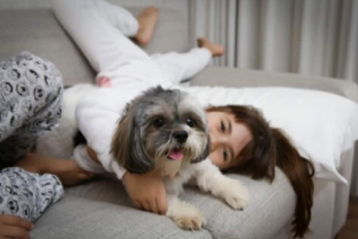 Eine Person liegt auf einem Sofa mit einem Hund.