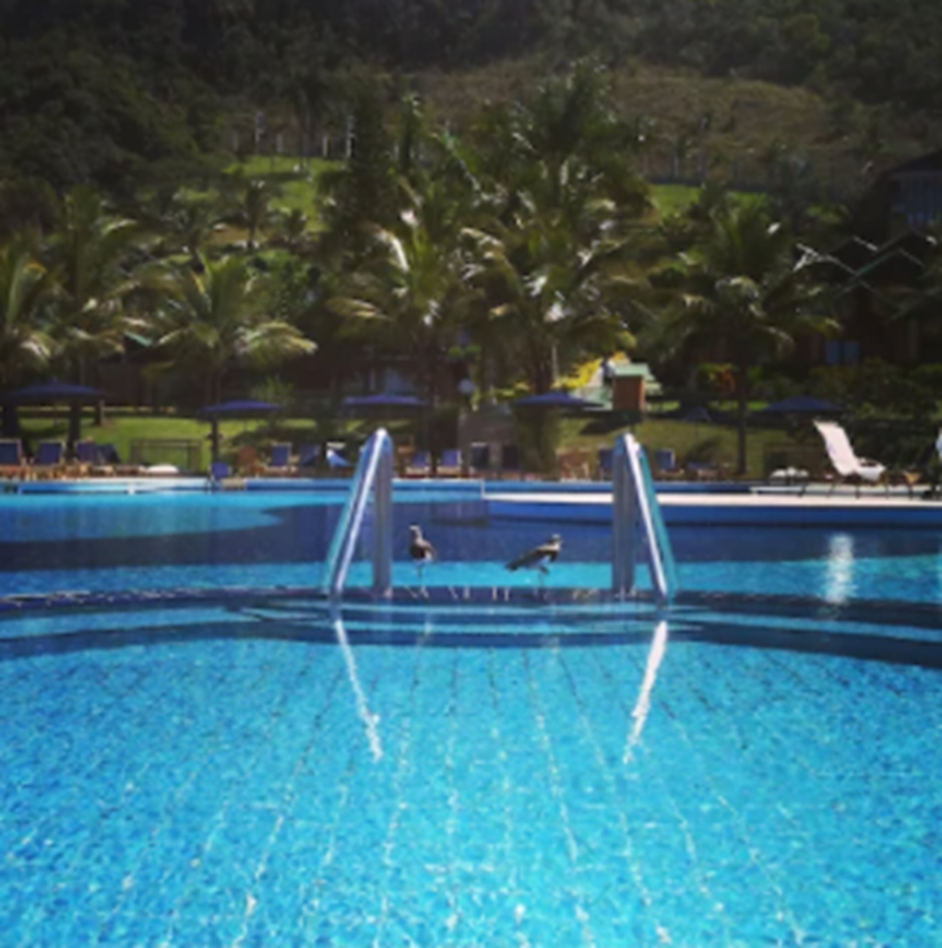 indoor pool, outdoor pool, open 9:00 am to 9:00 pm, pool umbrellas