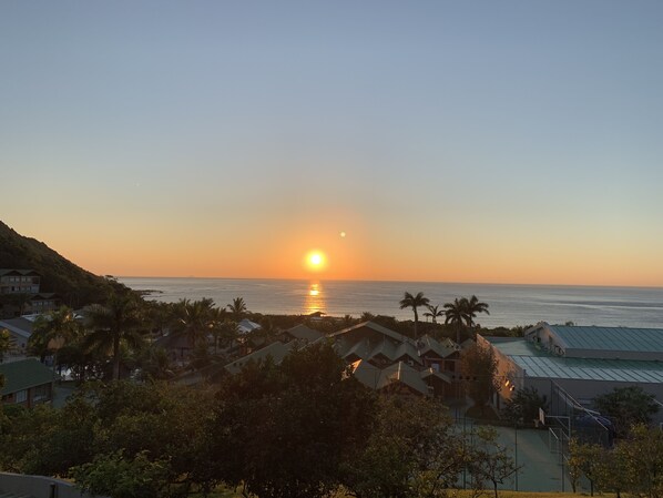 A coastal view with a sunset, buildings, and palm trees. - Infinity Blue Resort & Spa (Balneário Camboriú)