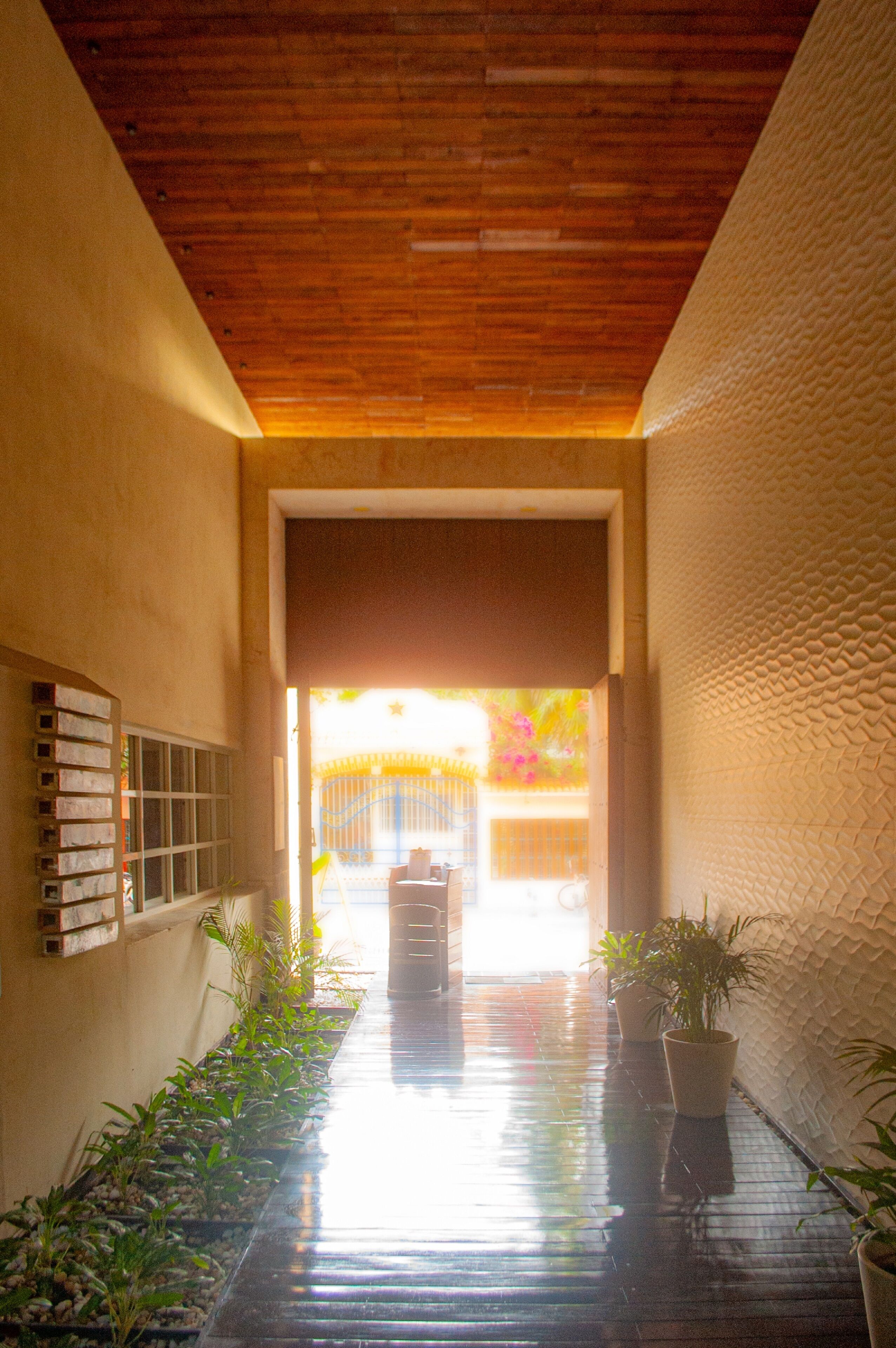 Foto - Hotel The Palm