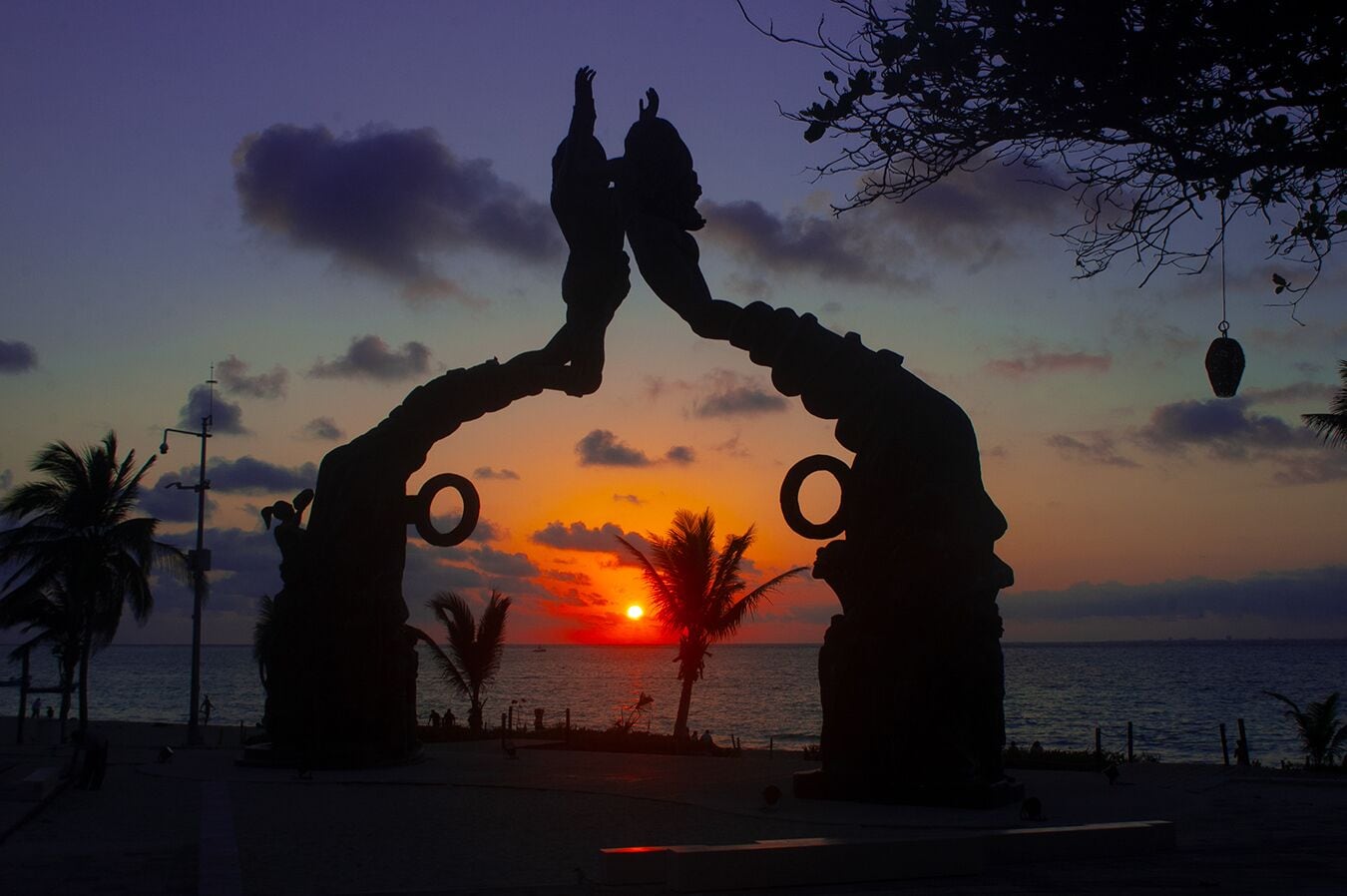 Foto - Hotel The Palm