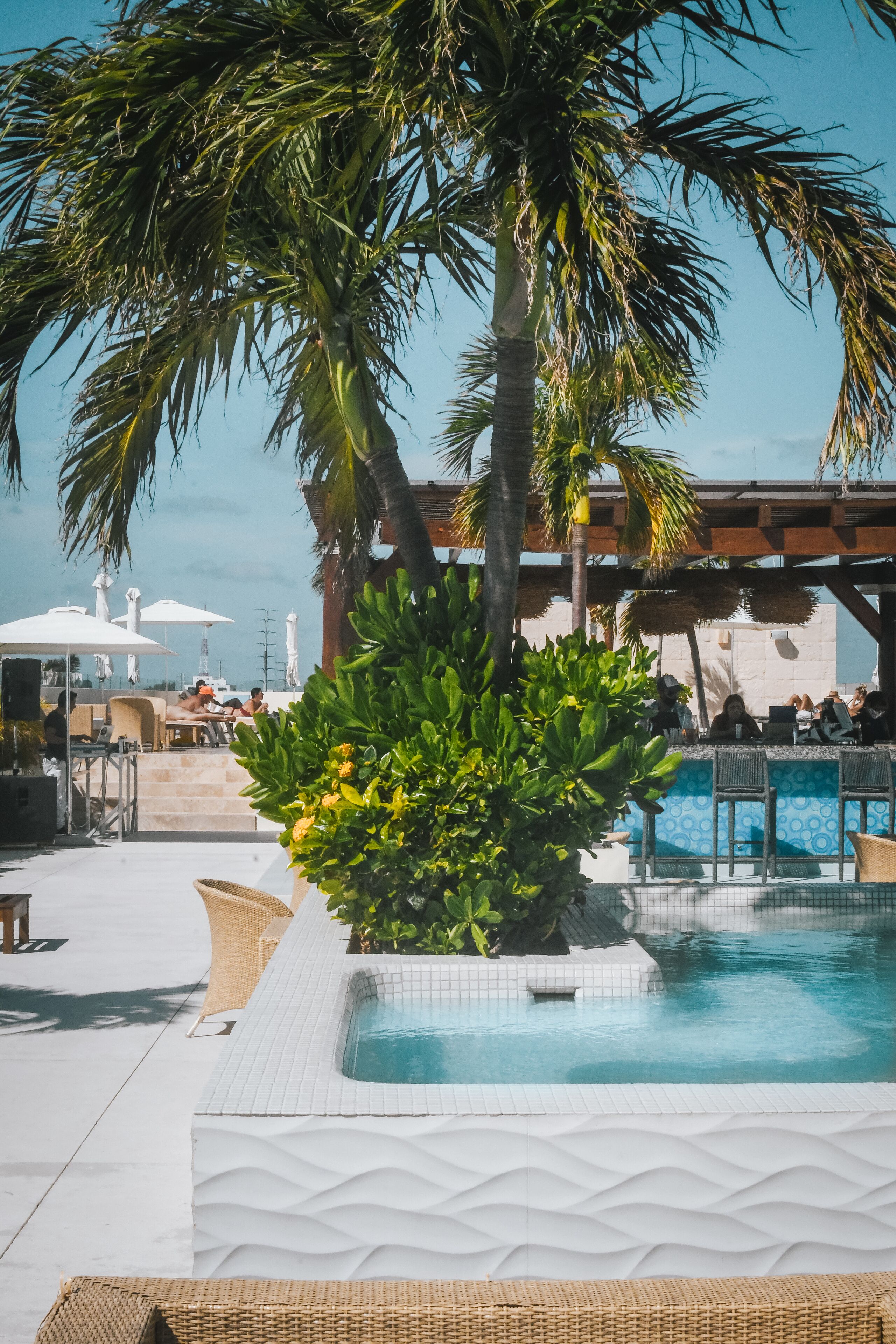 Foto - Hotel The Palm