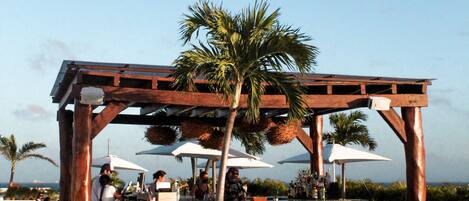 Zona de piscina con una pérgola de madera, palmeras y sombrillas.