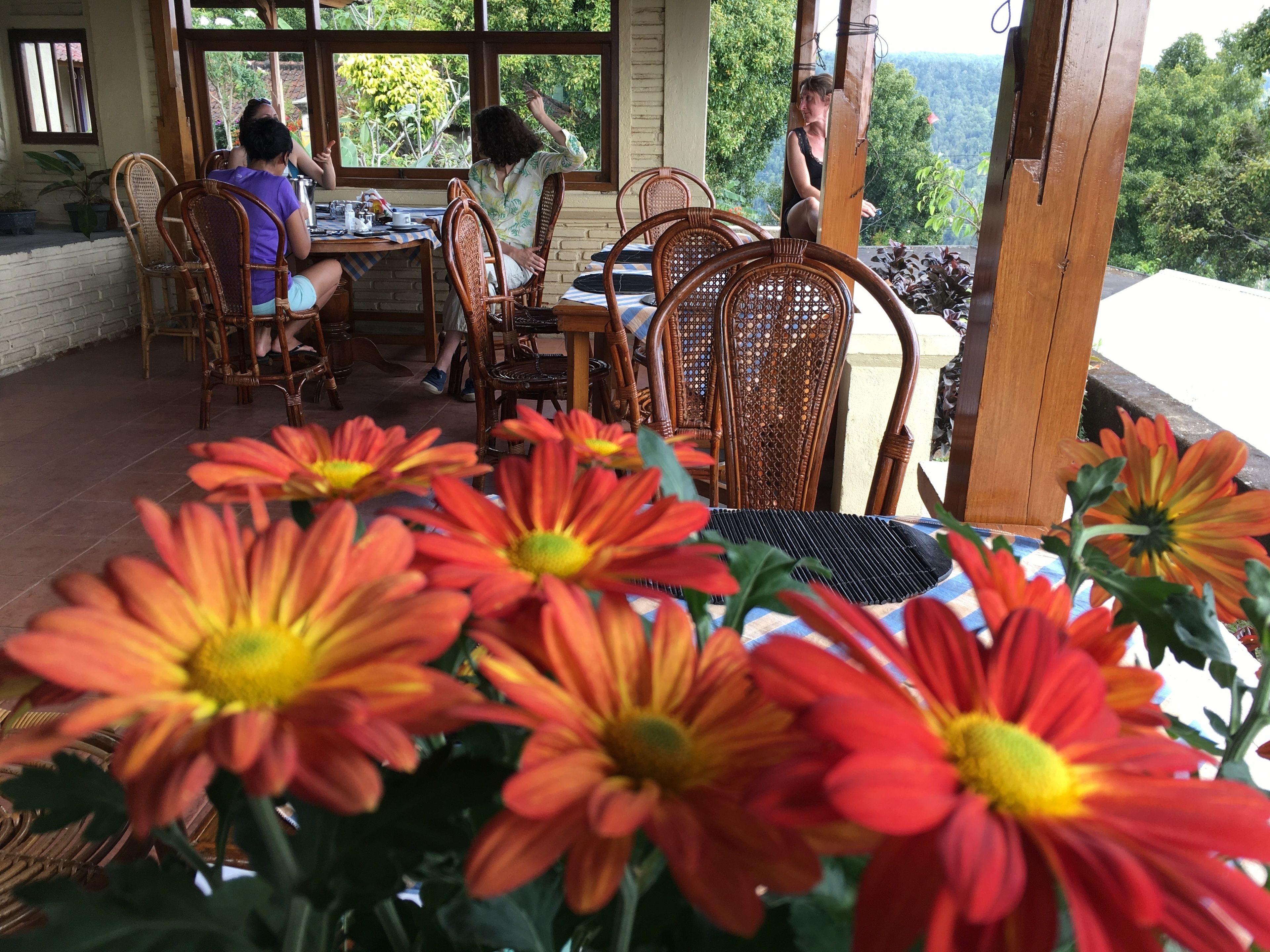 Un espacio de comedor al aire libre cubierto con sillas y mesas de mimbre, rodeado de macetas con plantas y flores.