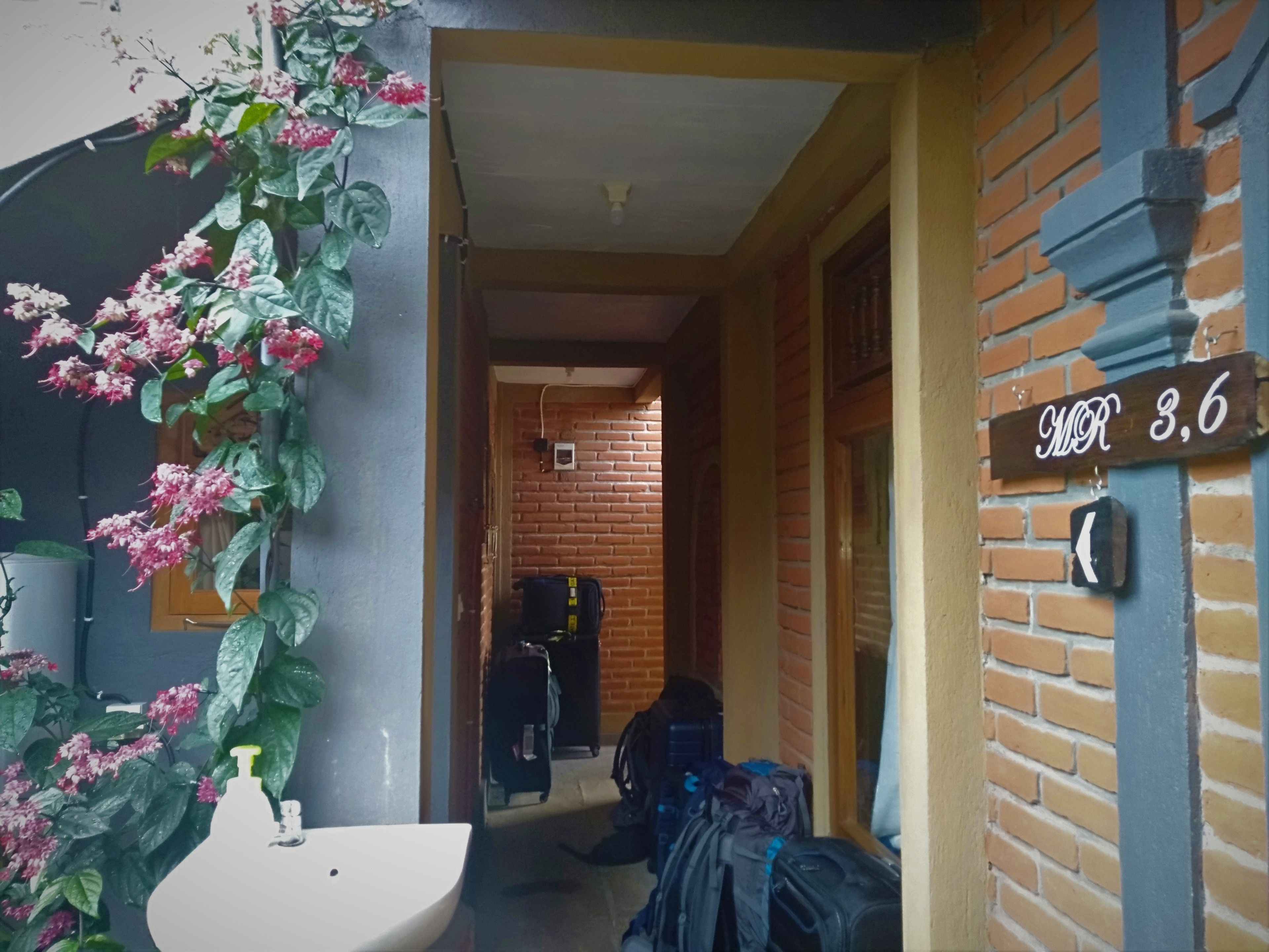 Un pasillo con pared de ladrillo, un cartel que dice "HOTEL 3,6" y una planta con flores rosadas.