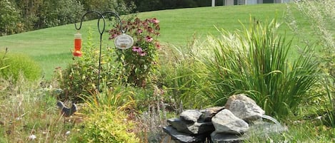 Jardines del alojamiento