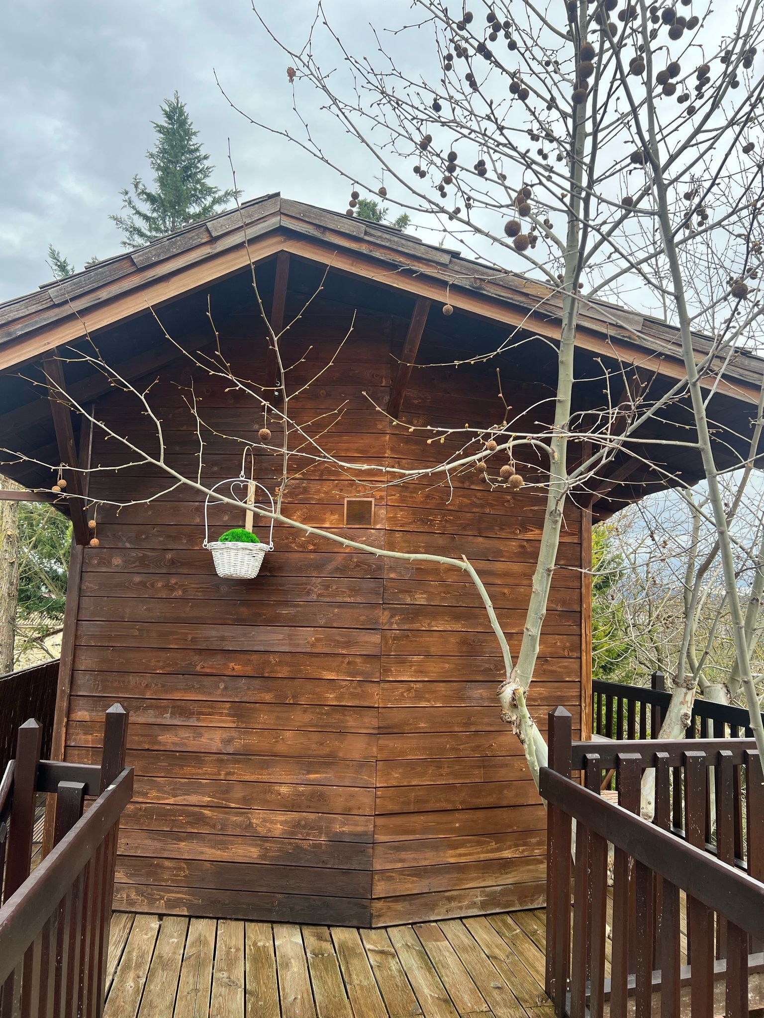 A wooden cabin with a sloped roof, a wooden deck, and a hanging basket with a plant.