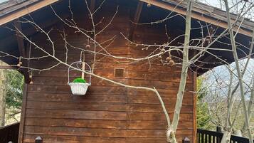 A wooden cabin with a sloped roof, a wooden deck, and a hanging basket with a plant.