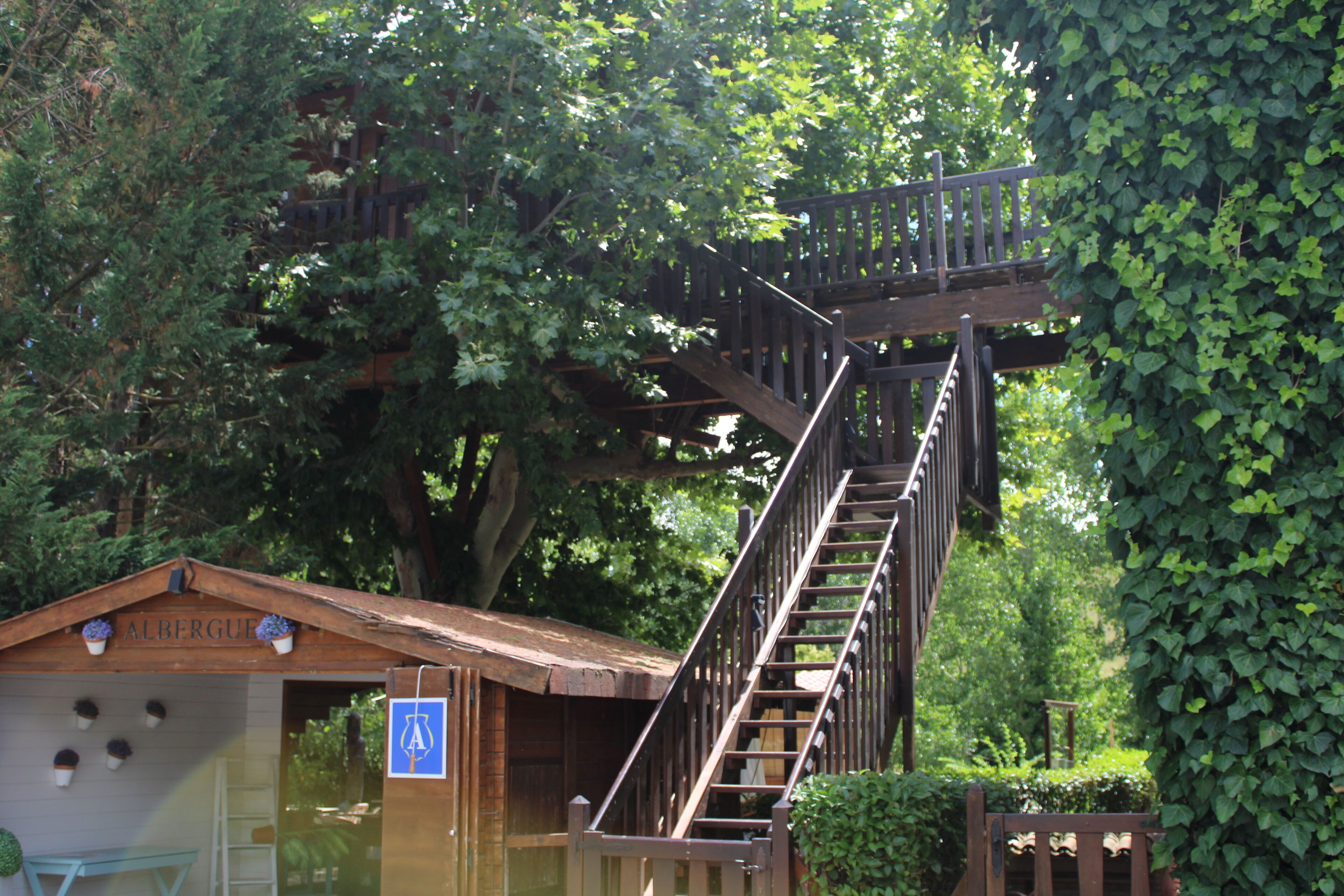 tree house | desk, free wifi, bed sheets