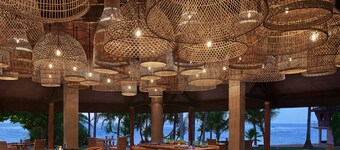 Hikka Tranz by Cinnamon