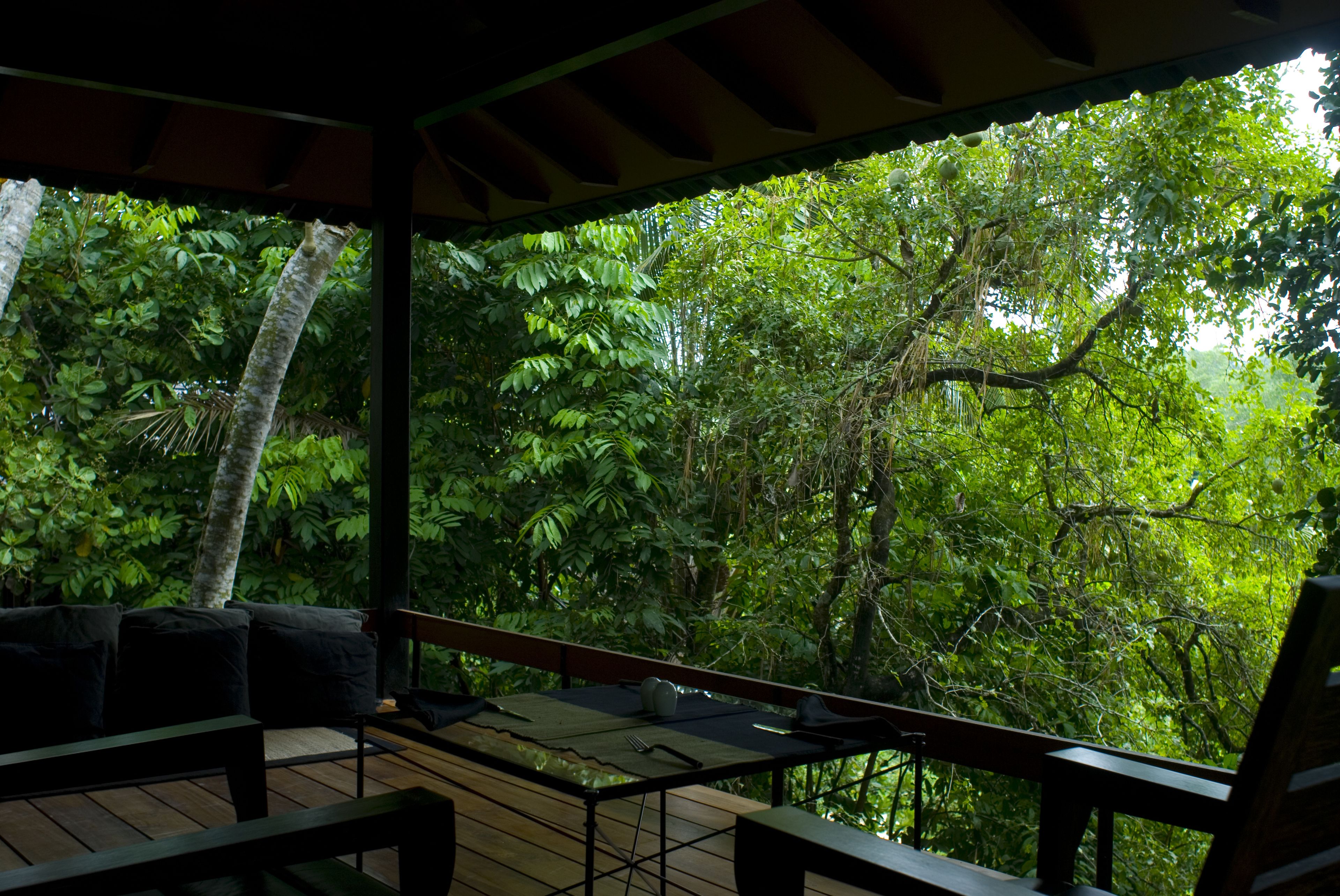 Una terraza al aire libre con una mesa y bancos, rodeada de exuberante follaje tropical.