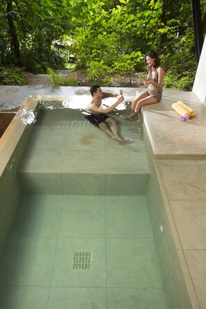 客房 | 私人游泳池