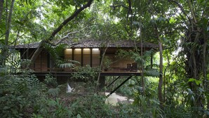 Une cabane en bois au toit de chaume, entourée d’une végétation tropicale luxuriante.