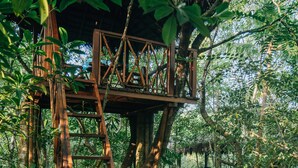 Une promenade en bois traverse une zone boisée, et une structure en bois surplombe le chemin.