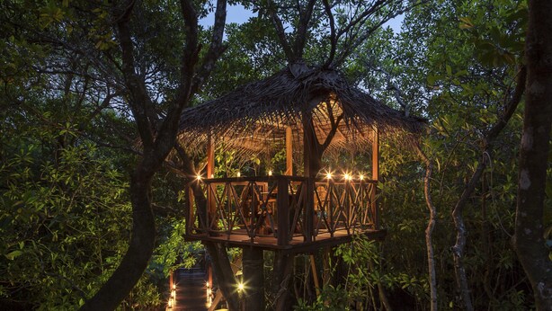 Une cabane en bois perchée dans un arbre, avec un toit de chaume, entourée d’un feuillage dense.