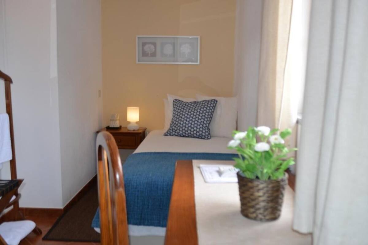 A hotel room with a bed, bedside table, lamp, and a small potted plant.
