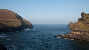 未分類圖片，第 4 張 (共 56 張)，按鈕