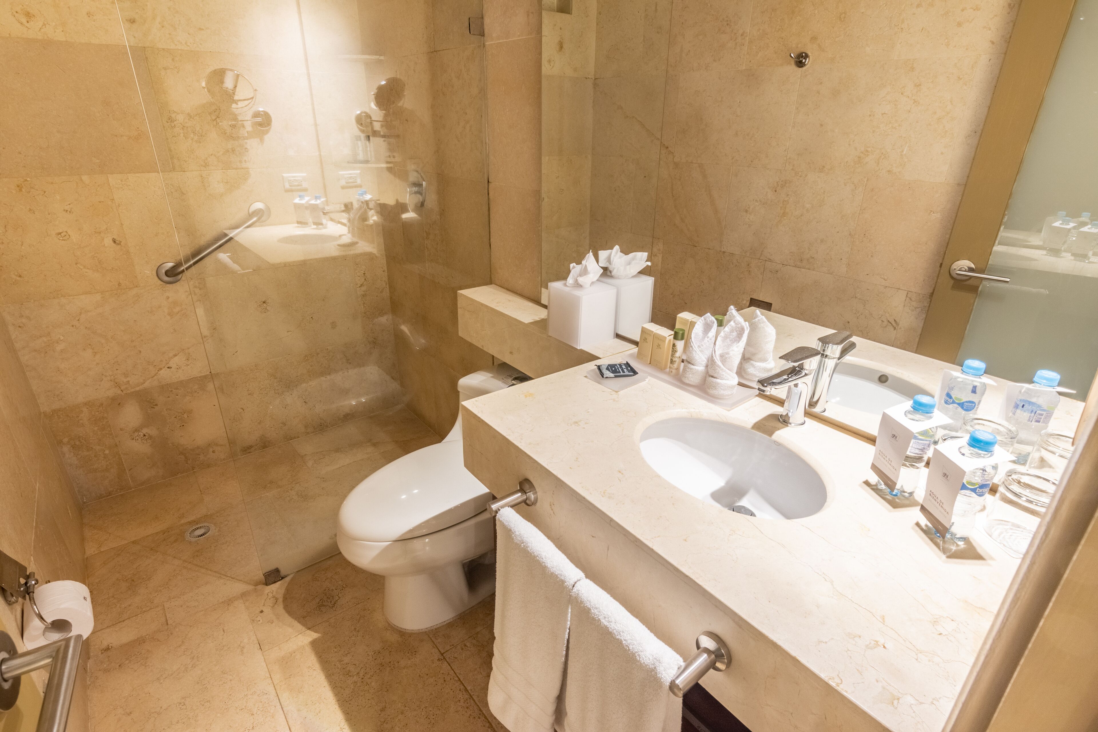 shower, free toiletries, hair dryer, towels