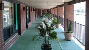 Un couloir couvert agrémenté de plantes en pot, avec des murs en briques et de grandes fenêtres.
